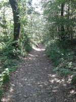 /album/galleria-fotografica/a20140601-131024-jpg1/