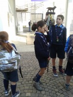 /album/galleria-fotografica/a20141101-091143-jpg1/